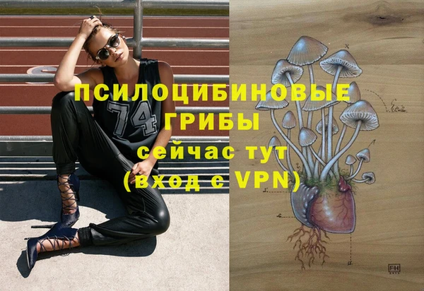 СК Ступино