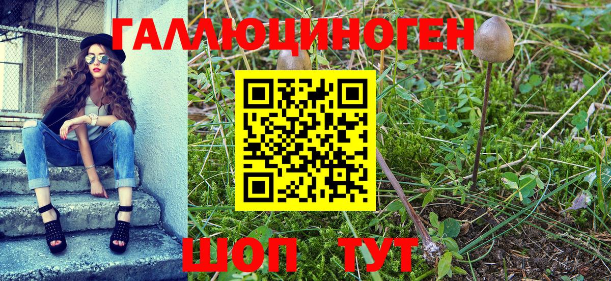 Великие Луки  Галлюциногенные грибы MAGIC MUSHROOMS  Вход с VPN  Галлюциногенные грибы Cubensis 