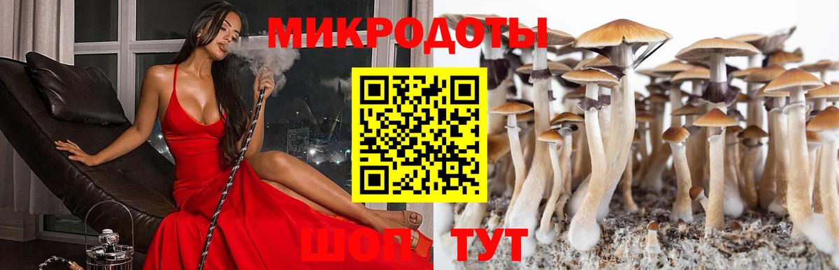 Псилоцибиновые грибы мухоморы Великие Луки